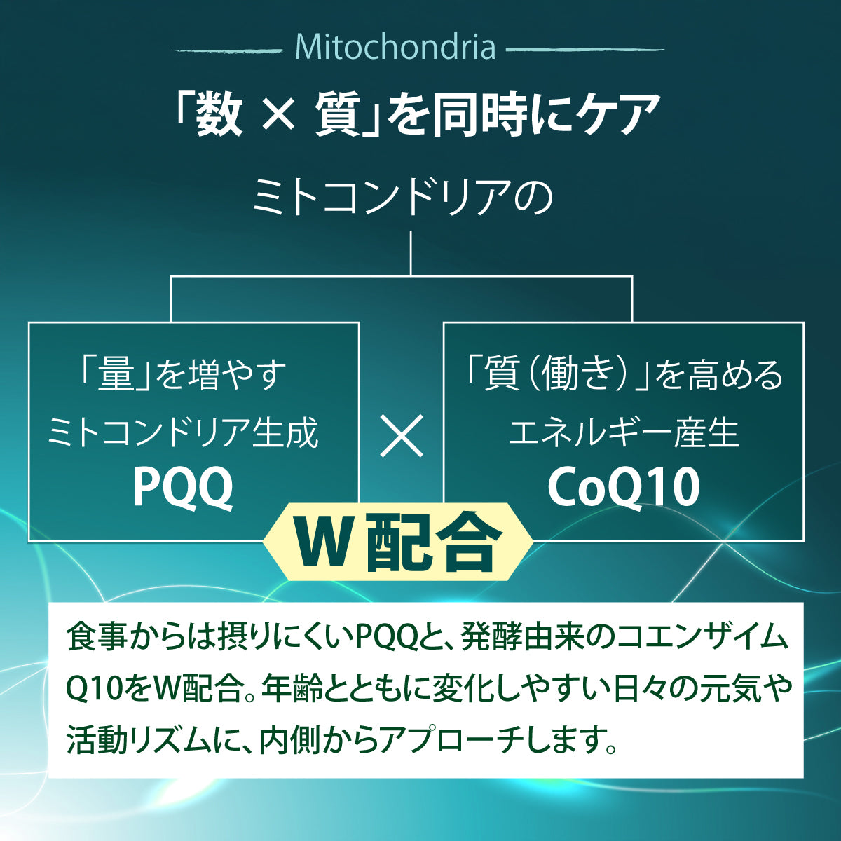 W.jpg