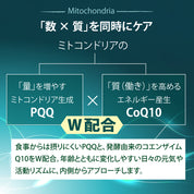 CoQ10+PQQ (Coenzyme Q10+PQQ)